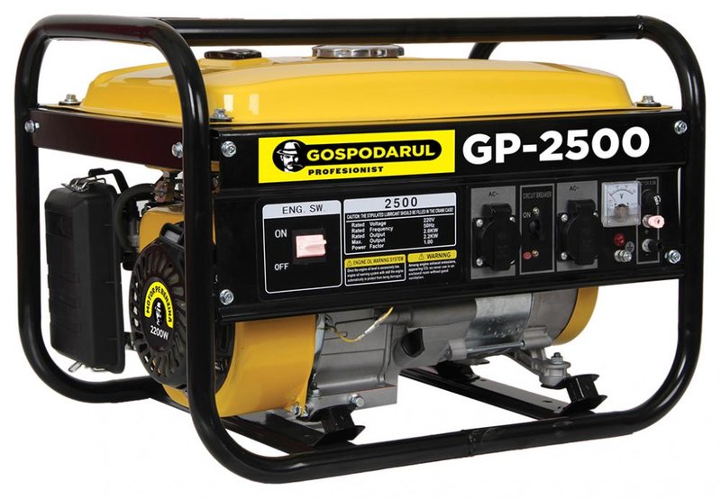 Generator Gospodarul Profesionist PMP0029,2200W