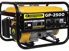 Generator Gospodarul Profesionist PMP0029,2200W